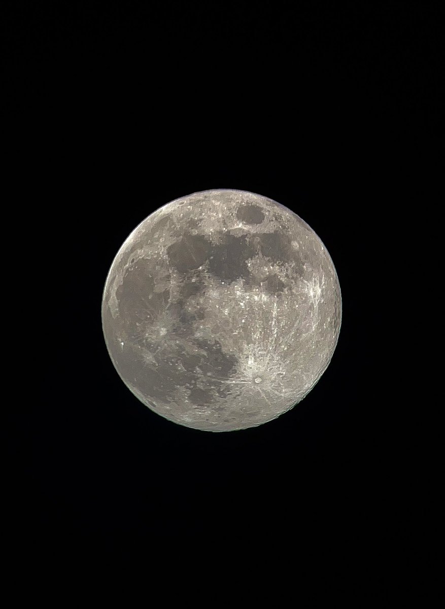 tarotdenoche's tweet photo. bella bella bella, se sintió más que siempre. https://t.co/k3cP4jNiwX