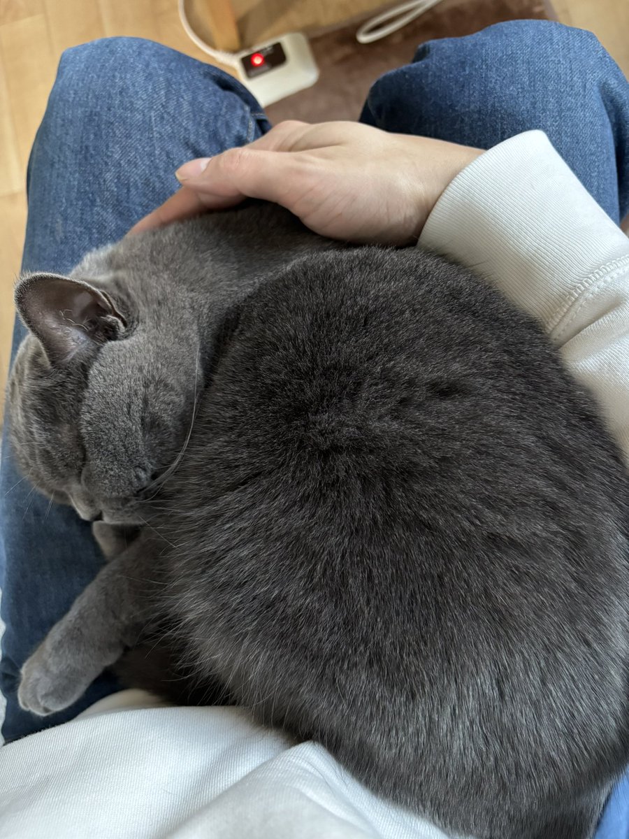 よく寝てました