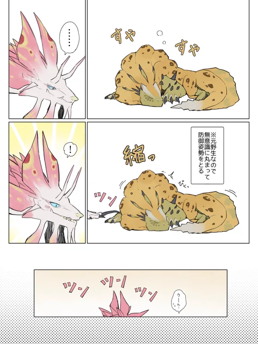 タマロア 