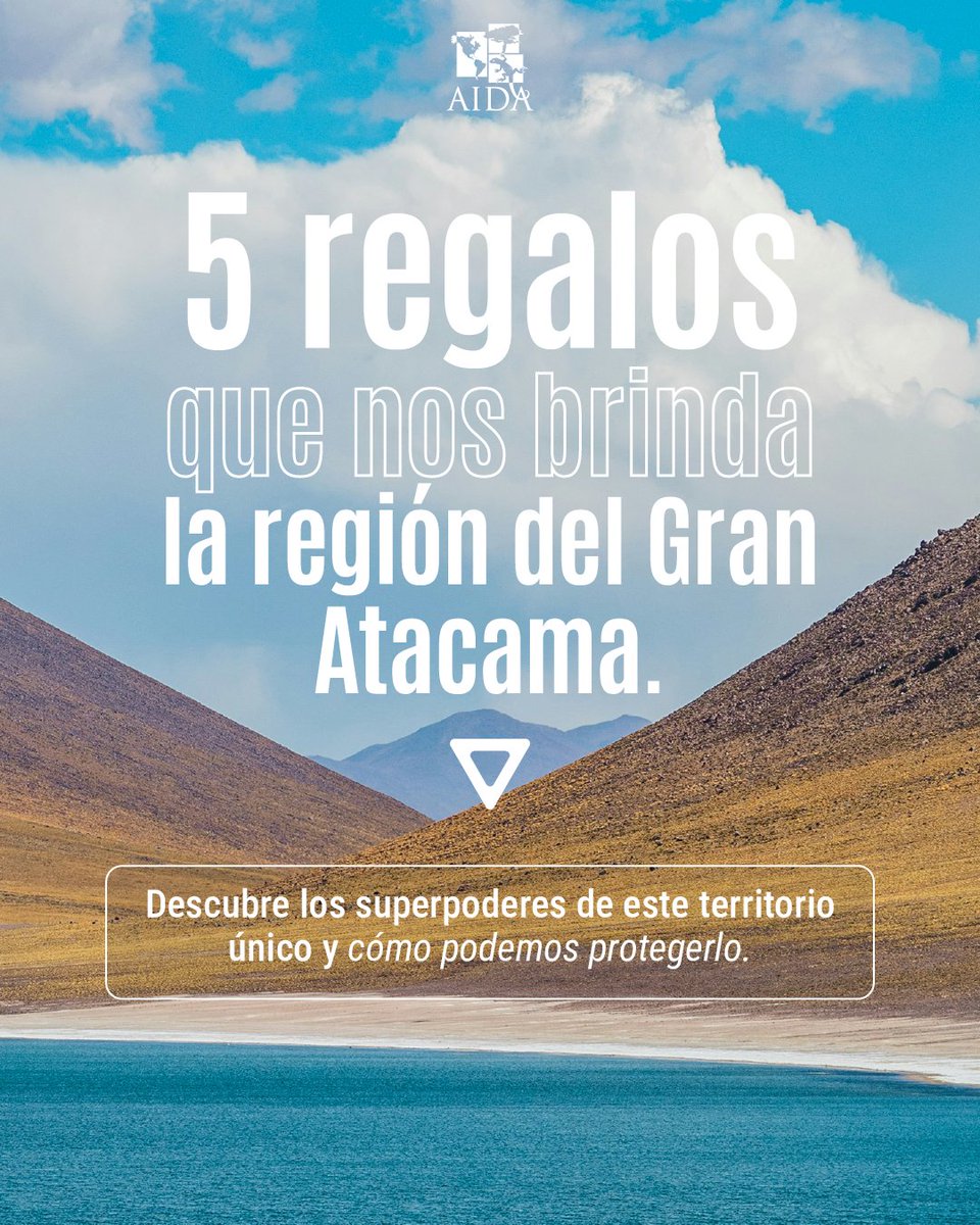 aida_ambiente's tweet photo. En la frontera entre 🇦🇷🇧🇴🇨🇱, entre grandes elevaciones y humedales, existe un territorio excepcional: el Gran Atacama.

¿Quieres saber qué regalos naturales nos brinda esta región? Desliza hacia abajo para descubrirlos y sorprenderte. ⬇️😍 https://t.co/BcwQMkGVso