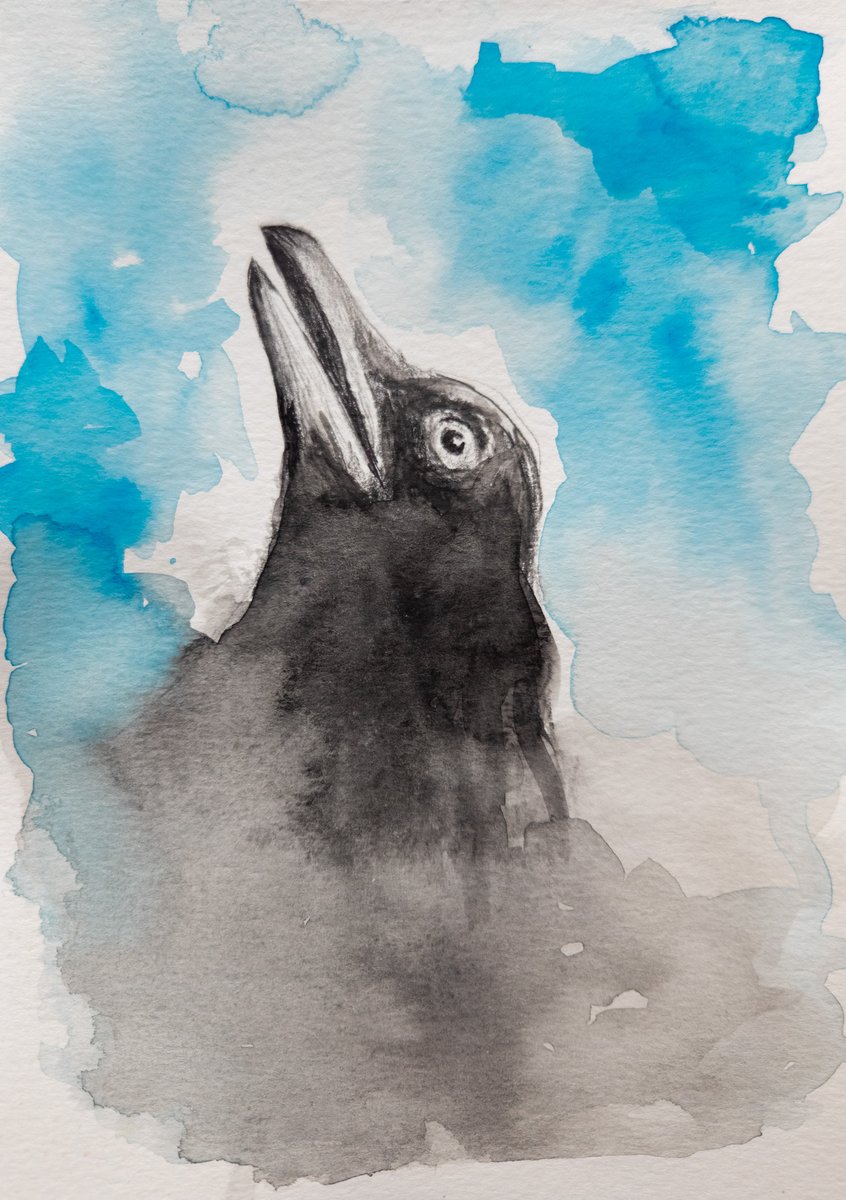 Dawno mnie tu nie było...
#Watercolour #bird #painting #akwarela #art