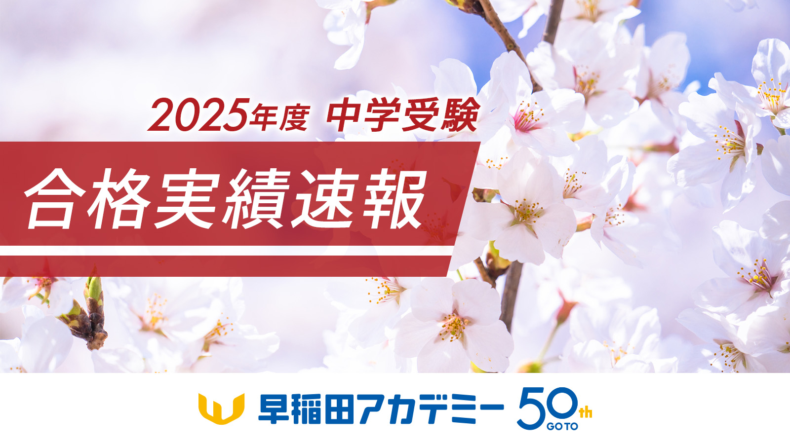 2025 豊島岡　早稲田アカデミーNN 2025 豊島岡 早稲田アカデミーNN 2025年最新】NN豊島岡の人気