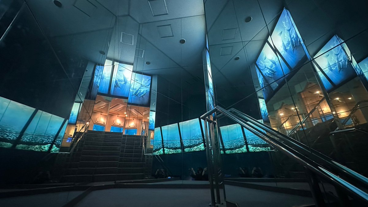 reiyers_cos's tweet image. 📢関東水族館撮影‼️

東京都品川区
《しながわ水族館》
#コスプレイベント
3月22日(土)
★参加料：7,700円

明るい水槽、ブルーを基調とした水槽、色鮮やかさが際立つ水槽と色々なタイプがございます🐠

会場内も明るいエリア、暗めのエリアなど、色々なシチュエーションあり。

#麗yers #rewires