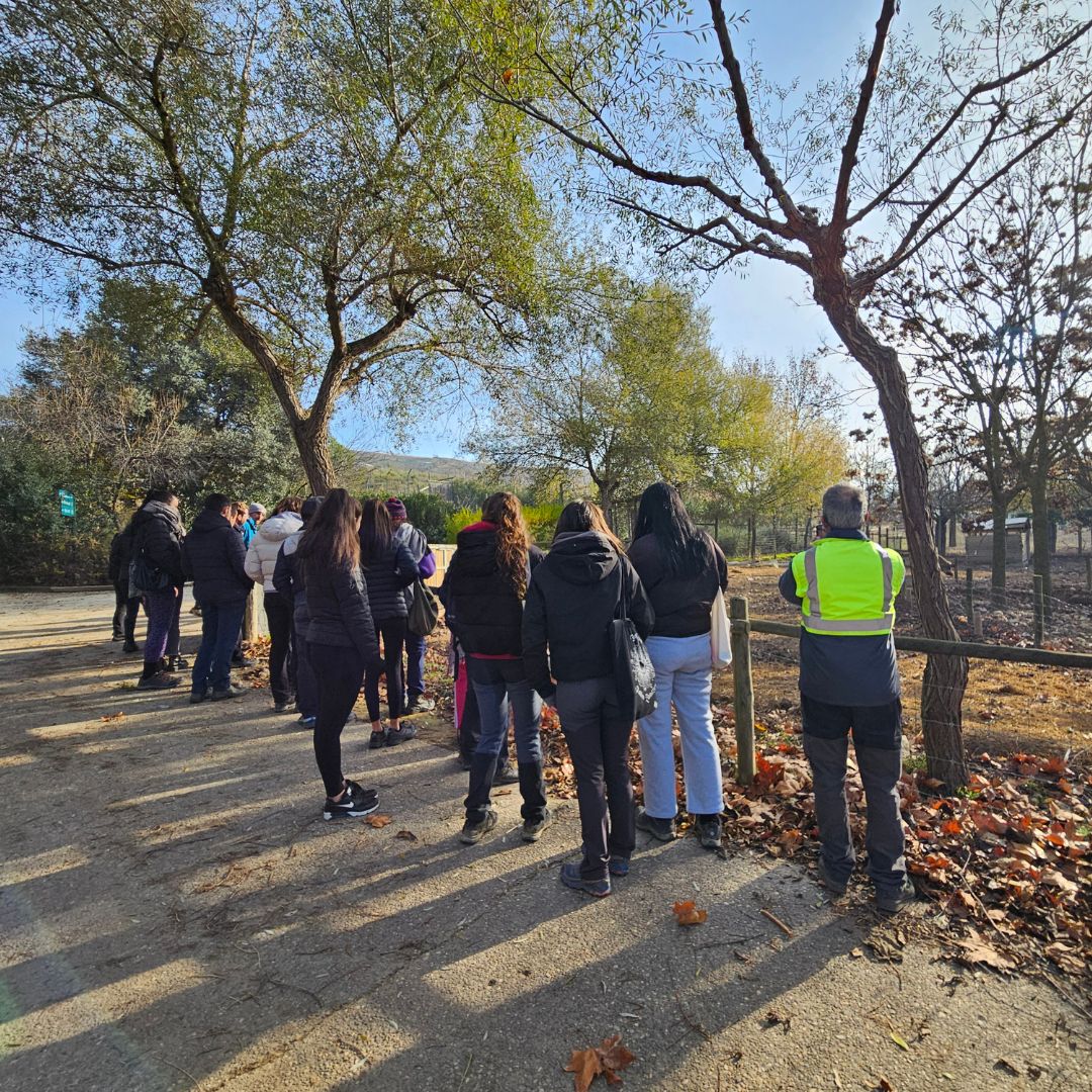 sendaviva's tweet photo. Duela aste batzuk, #Iruñeko #Nekazaritza eta #Basogintzako I.I.-eko #Abeltzaintza eta #AnimalienOsasunaren Laguntza moduluko ikasleak #Sendavivan hartu genituen. Jardunaldi tekniko baten bidez, parkean #AnimalienZaintza eta #Kudeaketa nola egiten den ezagutzeko aukera izan zuten. https://t.co/vVB0uYis4z