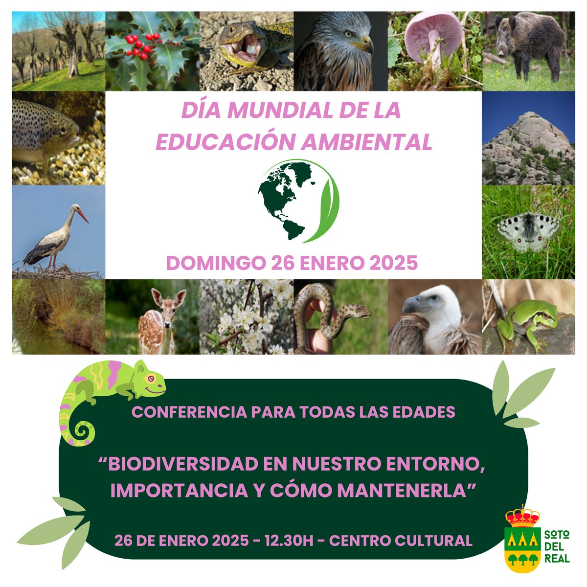 🌍🌿En Soto celebramos el Día Mundial de la Educación Ambiental con una charla abierta para todas las edades:
"Biodiversidad en nuestro entorno: importancia y cómo mantenerla"
🗓️26 enero🕛12:30h📍Centro Cultural
🎟Entrada gratuita

#ViveSoto #EducaciónAmbiental #Biodiversidad