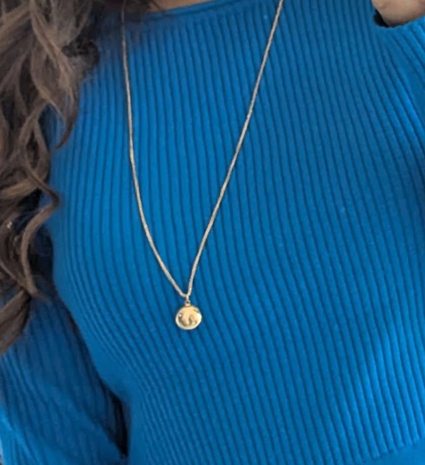 Dear <a href="/RoyalJordanian/">Royal Jordanian</a> I lost my grandmas golden necklace on your flight today RJ610. I'm 100% sure it fell under my seat 29 (the last row on the aircraft). Your staff in Dubai insists they found nothing while I have proof I had it on me when I boarded the aircraft. 

This necklace