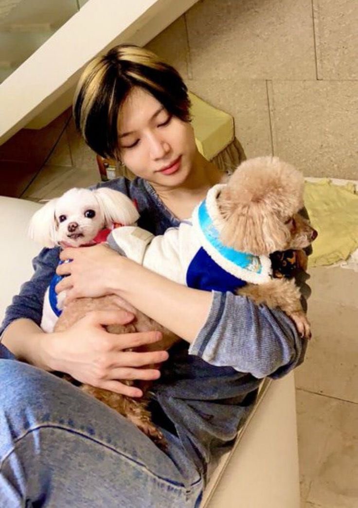 oddlantis's tweet photo. @moonlettemusing I miss my og dog lover taem 😭😭😭 https://t.co/SE3IWb4kPT