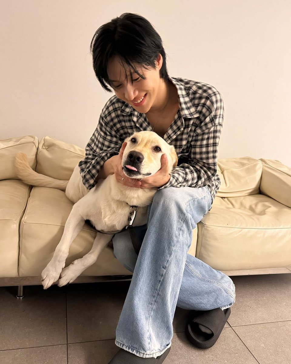 oddlantis's tweet photo. @moonlettemusing I miss my og dog lover taem 😭😭😭 https://t.co/SE3IWb4kPT
