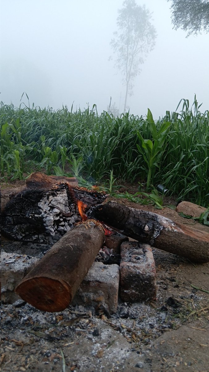 AvantiAmls's tweet photo. If you want to see the poison of Casteism, you should visit the villages of India, how the upper caste people oppress the Dalits and backward people.
#Casteism #Untouchability #Outcaste #महाकुंभ2025 #HariHaraVeeraMallu #MakarSankranti #मकर_���ंक्रांति #TheRajaSaab https://t.co/5Ns5U7jEfQ