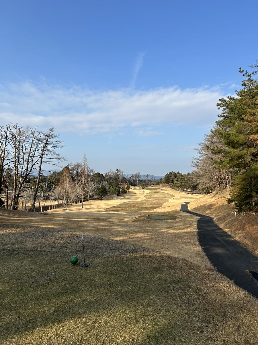3kiyo_m9's tweet photo. うちはじめ⛳️ https://t.co/hY0egqJxWP
