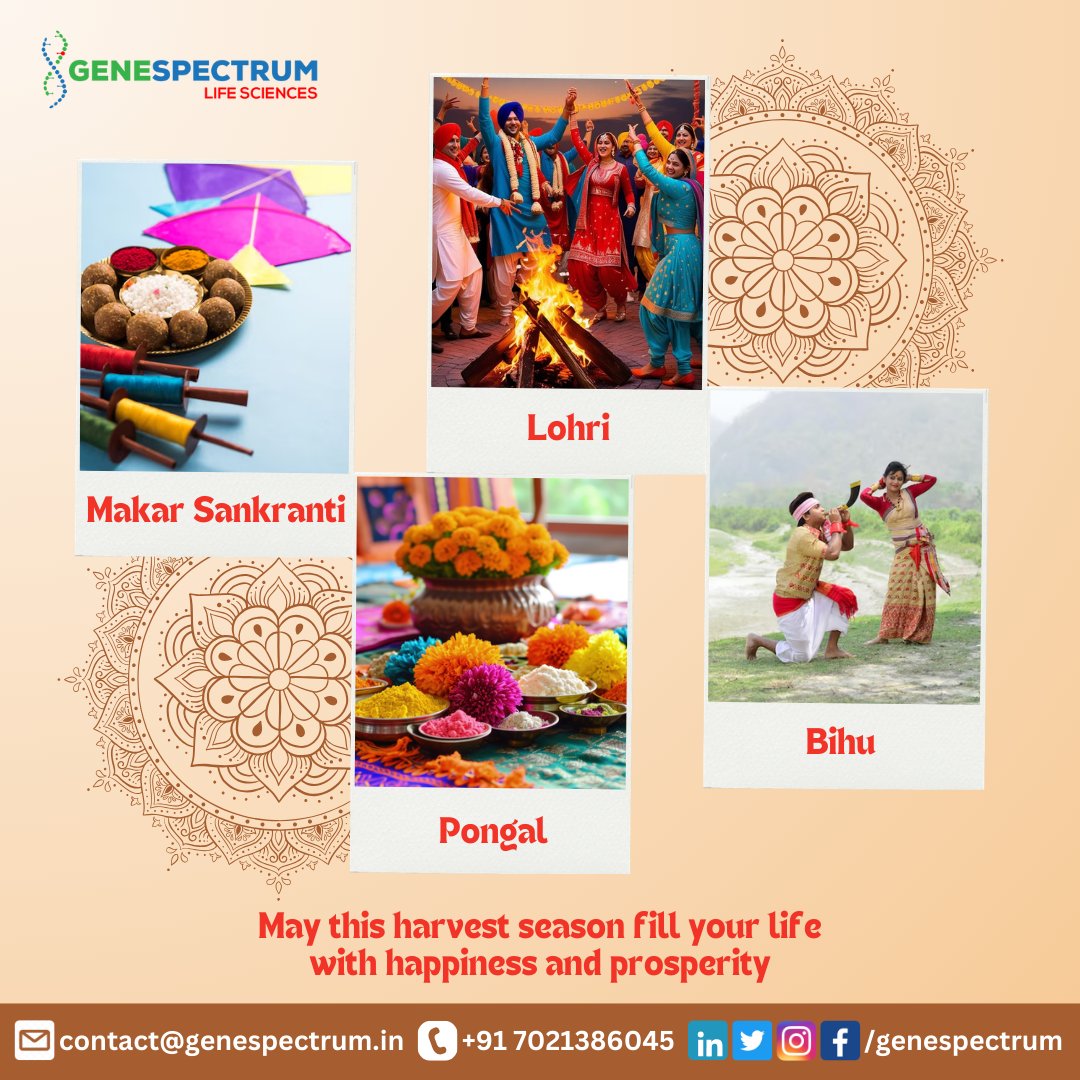 GeneSpectrum Life Sciences (@genespectrum) on Twitter photo As we enter the vibrant harvest season, we at GeneSpectrum are filled with gratitude and joy, joining millions across India to celebrate the rich cultural tapestry of Makar Sankranti, Pongal, Lohri, and Bihu!
#MakarSankranti #Pongal #Lohri #Bihu #HarvestFestival As we enter the vibrant harvest season, we at GeneSpectrum are filled with gratitude and joy, joining millions across India to celebrate the rich cultural tapestry of Makar Sankranti, Pongal, Lohri, and Bihu!
#MakarSankranti #Pongal #Lohri #Bihu #HarvestFestival