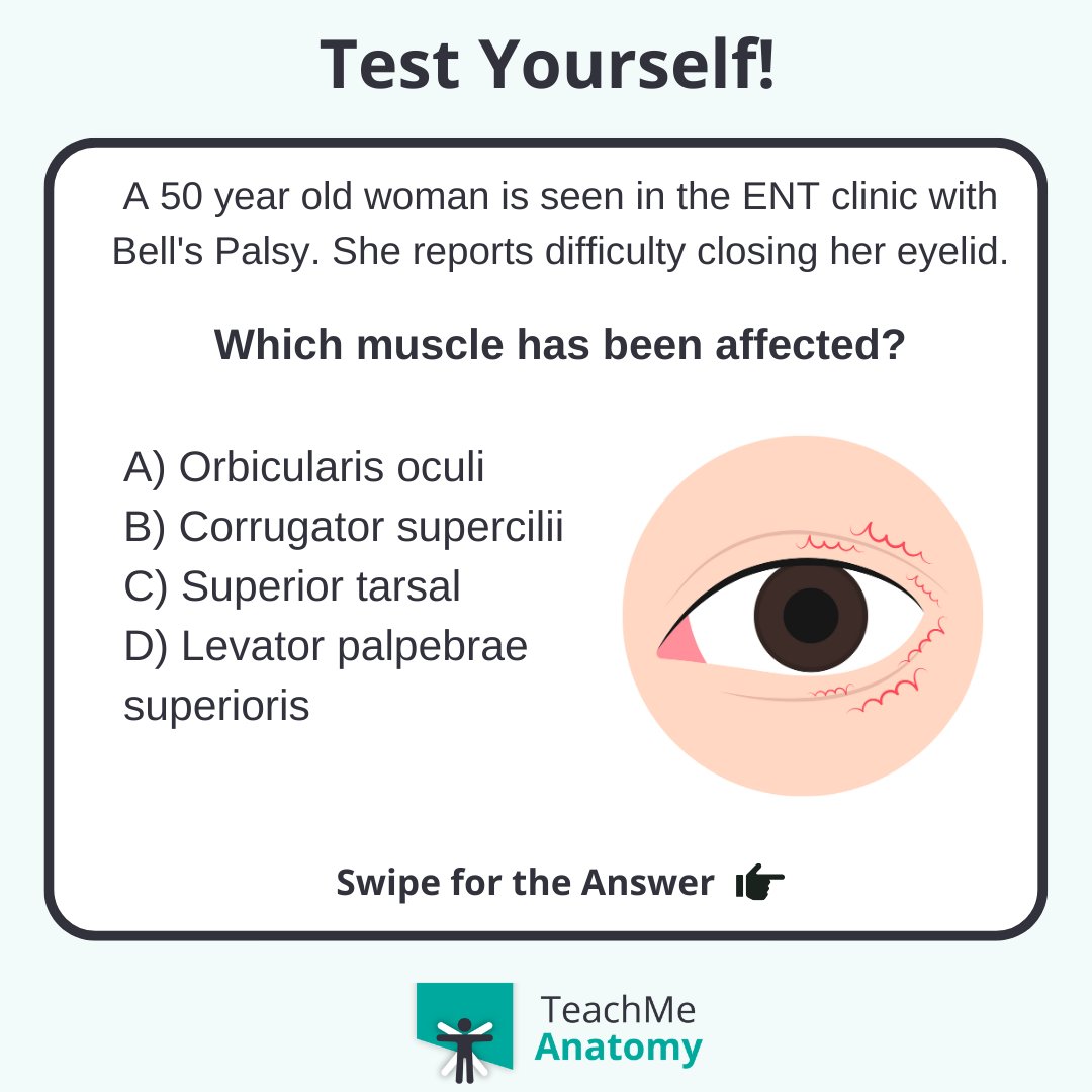 TeachMe_Support's tweet image. Test your clinical knowledge!🏆 Which muscle has been affected? #quiztime #QuizoftheWeek  #quizoftheday #medschool #medicalstudent #medstudent #premed #premedlife #nursing #nursingschool #pastudent #physician #futuredoctor #premed #studymotivation #medlife #surgery #juniordoctors