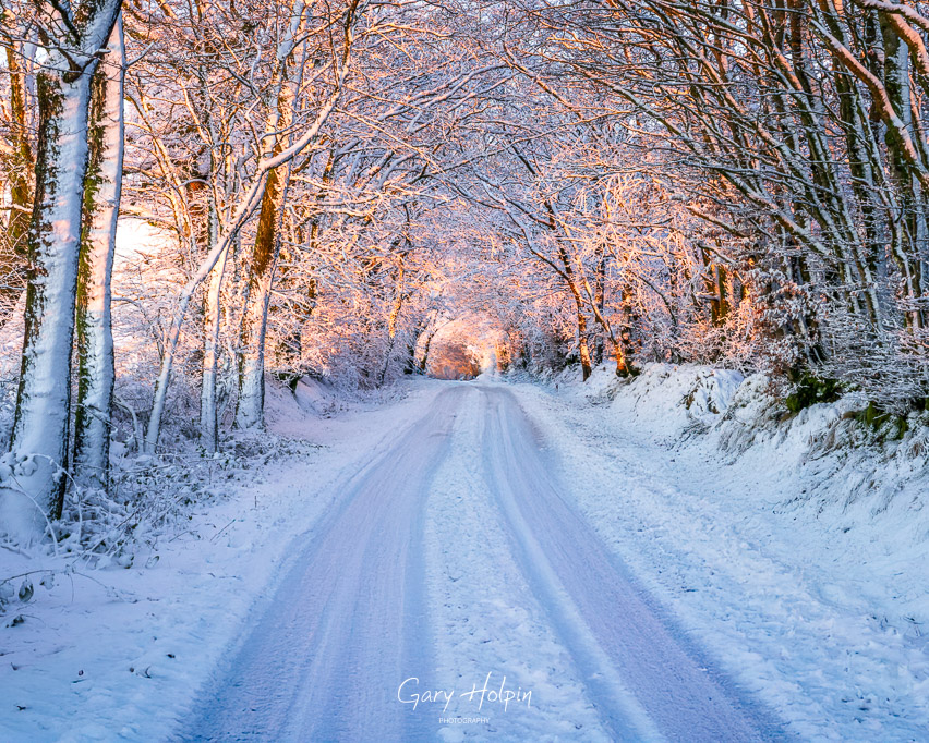 GaryHolpin's tweet photo. Morning!
Next on 'Winter wonderland' week we move onto the 2nd snowfall of last week. There was little snow on the ground outside my window in Honiton, just a couple of miles up the road in the Blackdown Hills, it truly was a winter wonderland!
#Devonsnow #Stormhour https://t.co/v1Wvin56tN