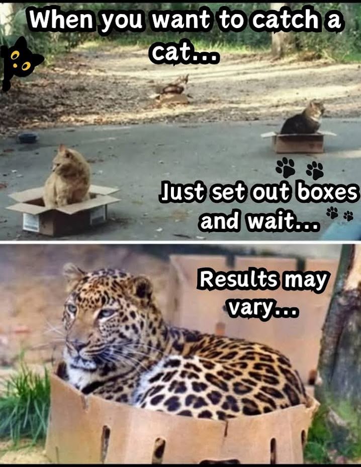 It works every time! 😉