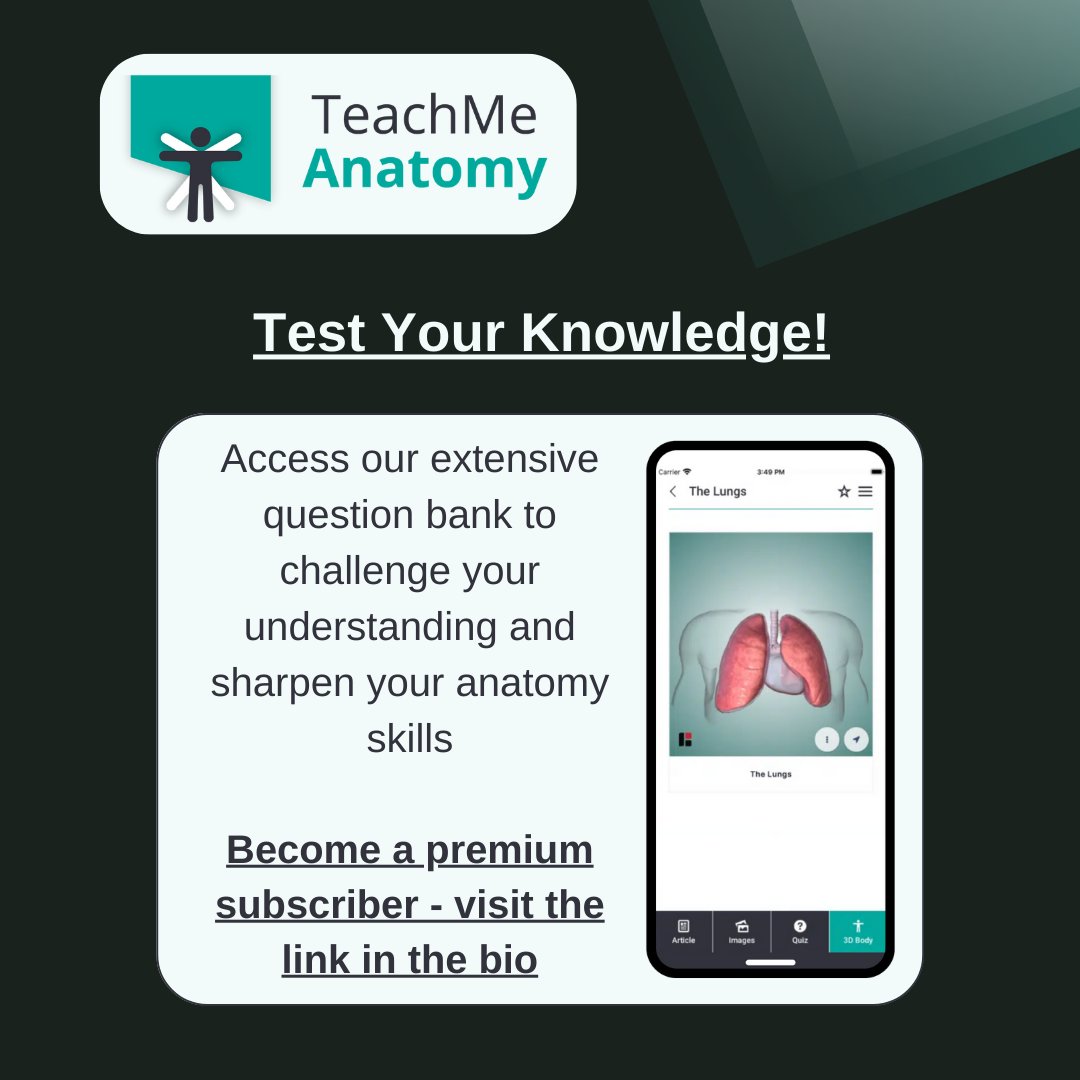 TeachMe_Support's tweet image. Challenge your understanding and sharpen your anatomy skills with our extensive question bank with TeachMeAnatomy Premium 🚀
Find out more: teachmeanatomy.info/sign-up/ #medicalstudent #medicine #medstudent #medicalschool #medschool #physician #futuredoctor #premed #studymotivation