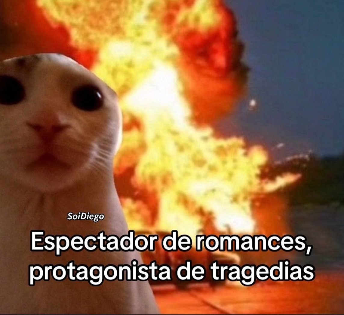GatitoDepresion's tweet photo. https://t.co/n379mjrr17