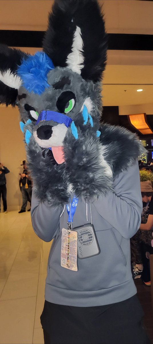 IceyFoxa's tweet photo. I am NOT cute! https://t.co/v8jHbNHTpm
