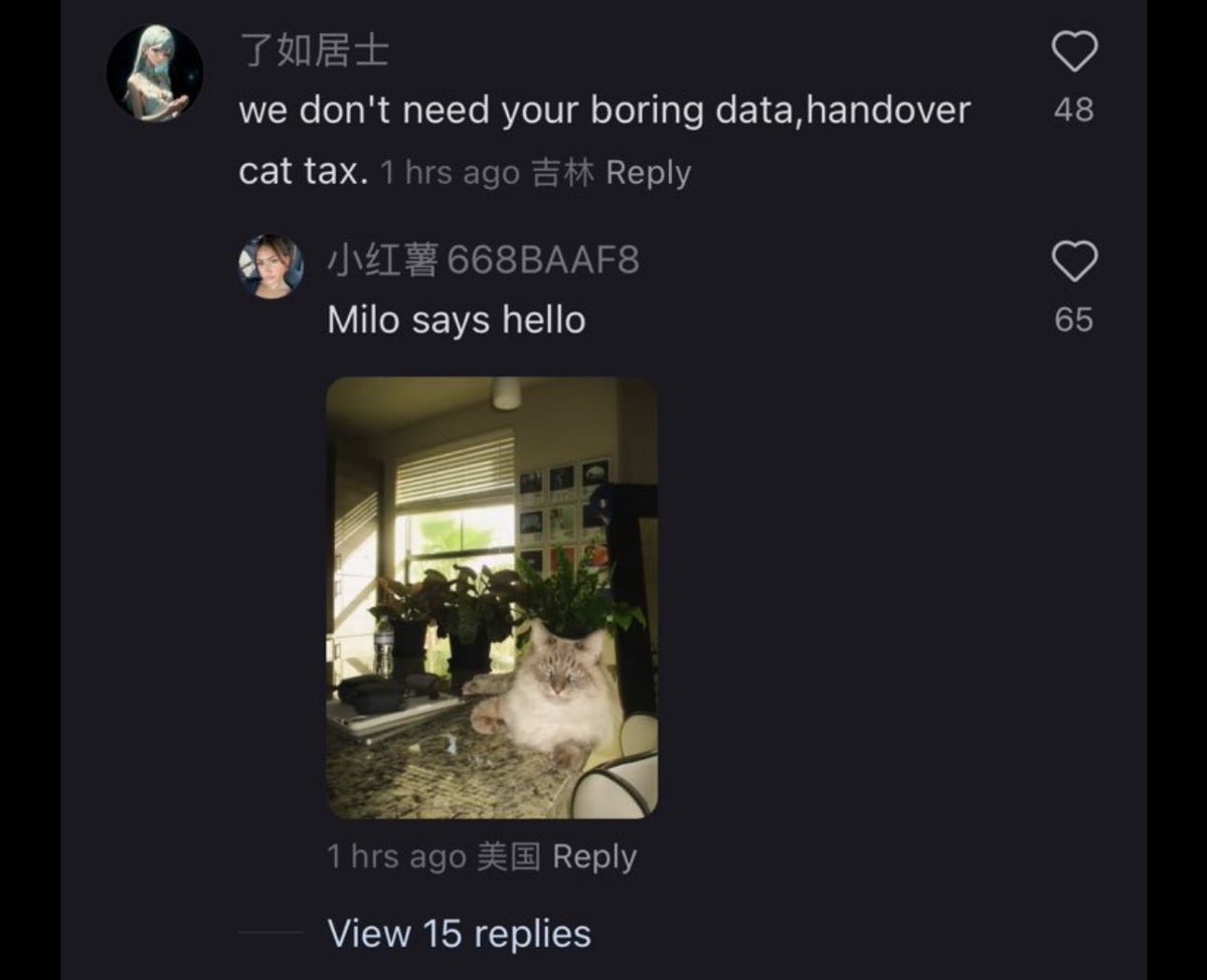 USA foreign service could never