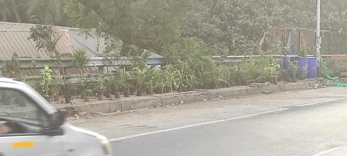 JusticeNDTruth's tweet photo. @richapintoi Ah that confirms,I told ya Y the slums on #WadalaBridge were cleared;but wait see this-instantly they @mybmc got all the horticulturists to send their men aka hawkers to occupy it nd continue to endanger pedestrian life.#giveusback our #foothpaths @mybmcWardFN @fpjindia @PMOIndia https://t.co/TBdwRfQ0y4