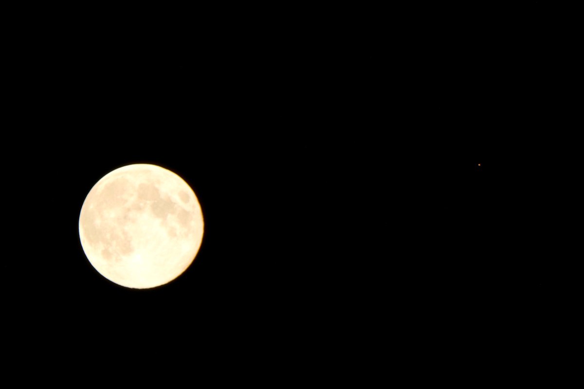 Dirk_Matter's tweet photo. Full Wolf Moon and Mars at opposition
#fullmoon #wolfmoon #mars #marsopposition #conjunction #science #astronomy #space #planets #lookup https://t.co/3Uy6REZ5ud