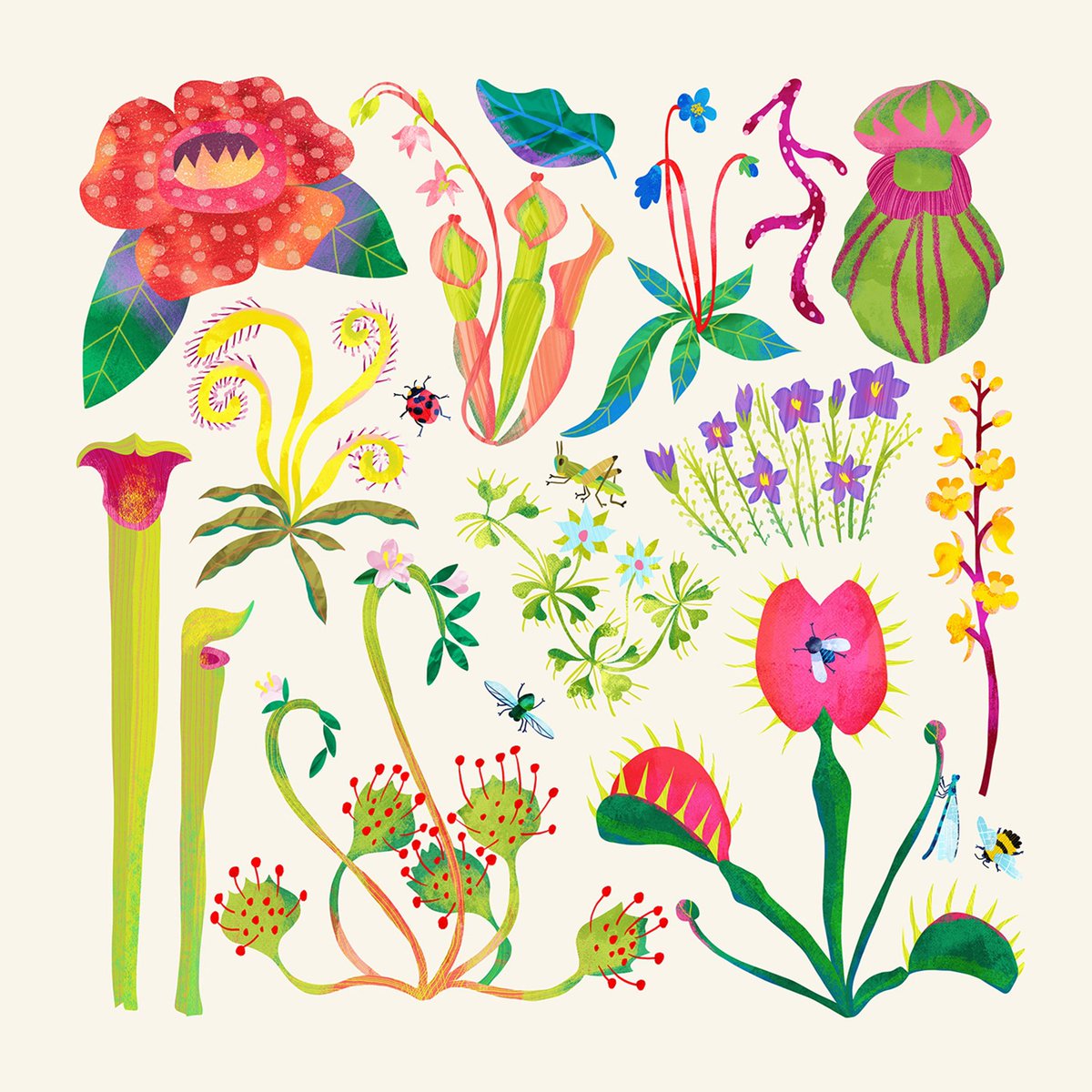 Nataly_Illustrator tweet media