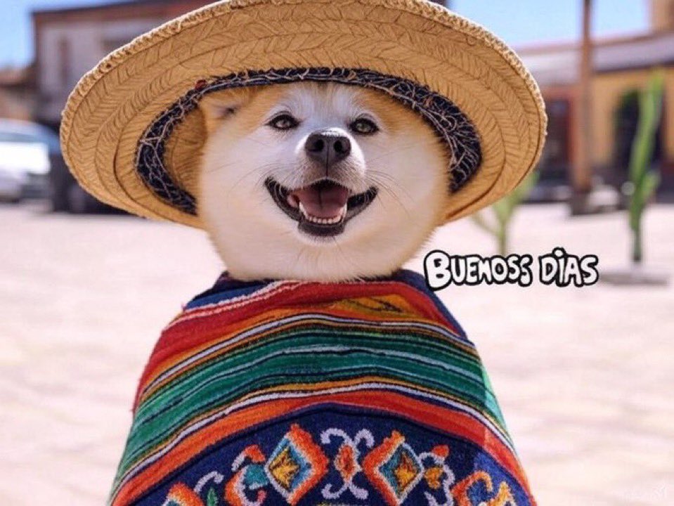 Crypt0_Chad's tweet photo. @TrueGemHunter Check CTO now

#Dogecoin #cto #poe #hispanic #memecoin #eth #VitalikButerin 

CA: 0xe178ad64DDC30a162d20DA38a319E5A18FE0A010

TG: https://t.co/mjpWnS8iQj https://t.co/9ezuaaagOI