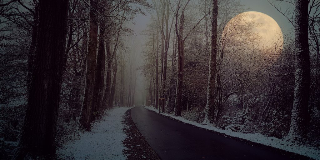 Lykos_psychi's tweet photo. Heulende Energien unterm Wolfsmond: Heute tauchen wir tief in unsere wilde Kraft. Dieser Vollmond erinnert uns an unsere innere Stärke und Verbindung zur Natur. Lass deine Magie leuchten und folge dem Ruf der Freiheit! #Wolfsmond #Hexenleben #Vollmondritual https://t.co/ssbYuETg9P