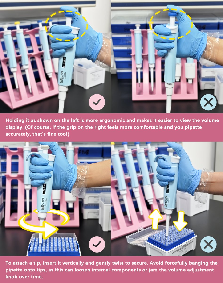 WUHANSERVICEBIO's tweet photo. 🧐Are You Using Your Pipette Correctly? Proper use and maintenance can extend its lifespan!⏳ Let’s discuss! ✍
#Pipette #PipetteUsage #ServicebioPipettes #LabDaily #LabTool https://t.co/f1bmOyKsv5