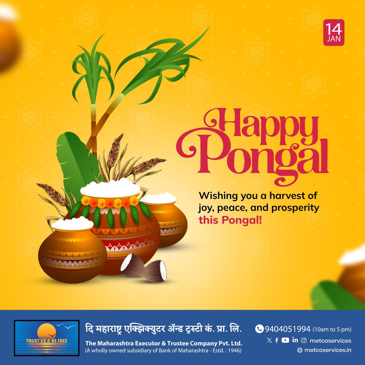 MetcoServices's tweet photo. Happy Pongal 
Wishing you a harvest of joy, peace, and prosperity this Pongal!

#Metco #HappyPongal #PongalFestival #Pongal2025Celebration https://t.co/rv0REuydz6