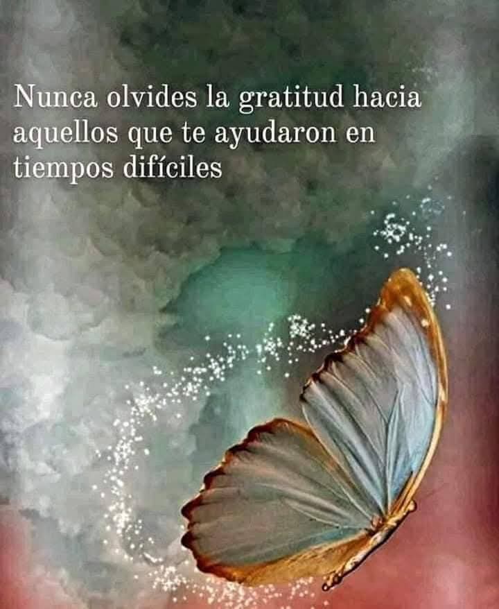 VidaEquilibrad4's tweet photo. https://t.co/XakLExIVYi