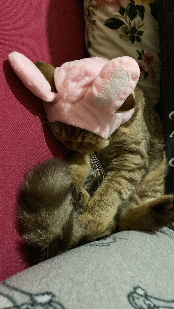 hr seyden ve herksten nefret editorum bu sapka bana takildigi zaman. ablama takildiysa sorun yk egleniorum o zaman.