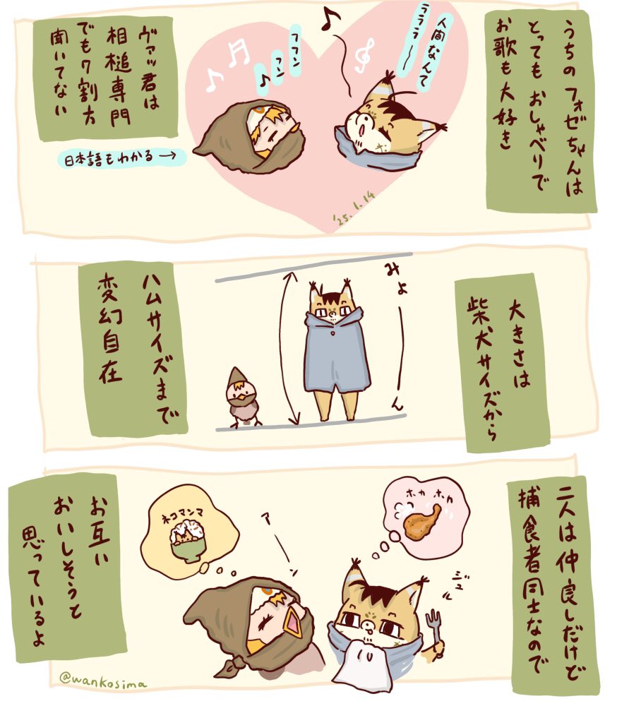 ネコマンコ  / X