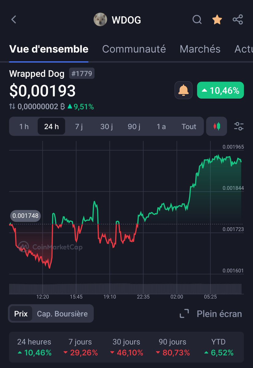 Climaxpointexe's tweet photo. Good morning my boi $wDOG https://t.co/x3G5VWSvhQ