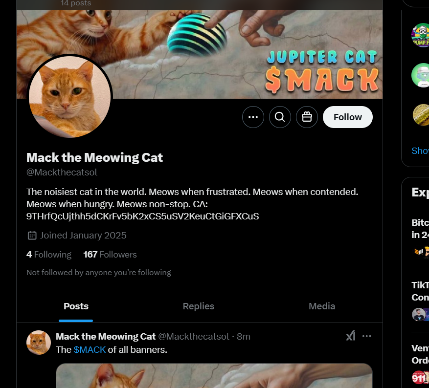 itsgonhxh's tweet photo. So I read this deep-dive from someone on $MACK, and it’s honestly insane. 

Basically, the deployer wallet for $MACK (7NXShQ9nLUg6EpXcPduwrnw6jgtHW9AJqHjpuq1CyWbx) got $30k from what appears to be the Jupiter Founder’s wallet (JTY58ZExRWkTCYEiJmsnM5KWkwzpBEJpJRhiEf9yWfN). You can see that transaction here:

*Jupiter Founder → $MACK Deployer (3triqM4NoNuHft7nGGzSHJsxeN9SNKhRPF4ebXv7yTaNnoZBSM2wJYHY1YF3JK3oaqMXsN8XxARd6Ra9L4bUNzRW)*

Then, that same deployer wallet funded another address (ELkzyd7dqKwSpXuPEi2BLUNb4tc1RooRq47Fn2qDsps2), which just so happens to be the wallet that burned 18% of the supply and added 250 SOL to the LP. The burn txn is here:

*Burn Txn (3tY3P7AD4BoeLm5tXe89e6LW31DVjCWc59wRWmHydY9xJGfaba2jsjzAYZqbHgB8qVwQmVFbLdMb76deVpciB1Uc)*

So there’s a solid reason to suspect that the Jupiter Founder himself might be the one who did the burn and injected liquidity into $MACK. 

If that’s true, it’s some next-level involvement. I mean, talk about wild, it’s not every day you see someone with that kind of clout actively boosting a coin behind the scenes. 

Could he be quietly helping the project? If so, that just throws even more fuel on the $MACK lore.

Also love that it aint a pumpfun.