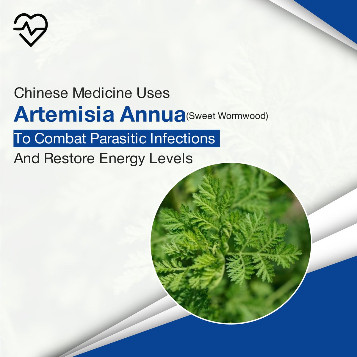 allcuresinfo's tweet photo. Feeling feverish and fatigued? It could be more than just a cold. ❄️

Learn about Babesiosis and get yourself checked at https://t.co/ZhApdgTcJm 

#Babesiosis #Wellness #NaturalHealing #GlobalHealthcare #HolisticMedicine #Telemedicine #WellnessJourney #chinese https://t.co/4CFHw4s2F9