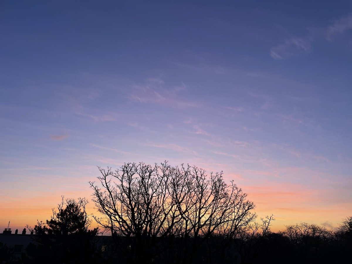 Sans filtre