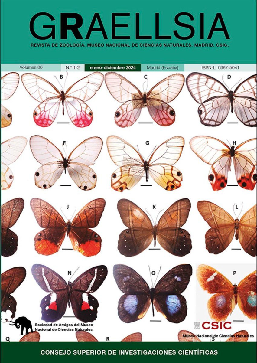 Ya está disponible el último número de Graellsia: graellsia.revistas.csic.es/index.php/grae…