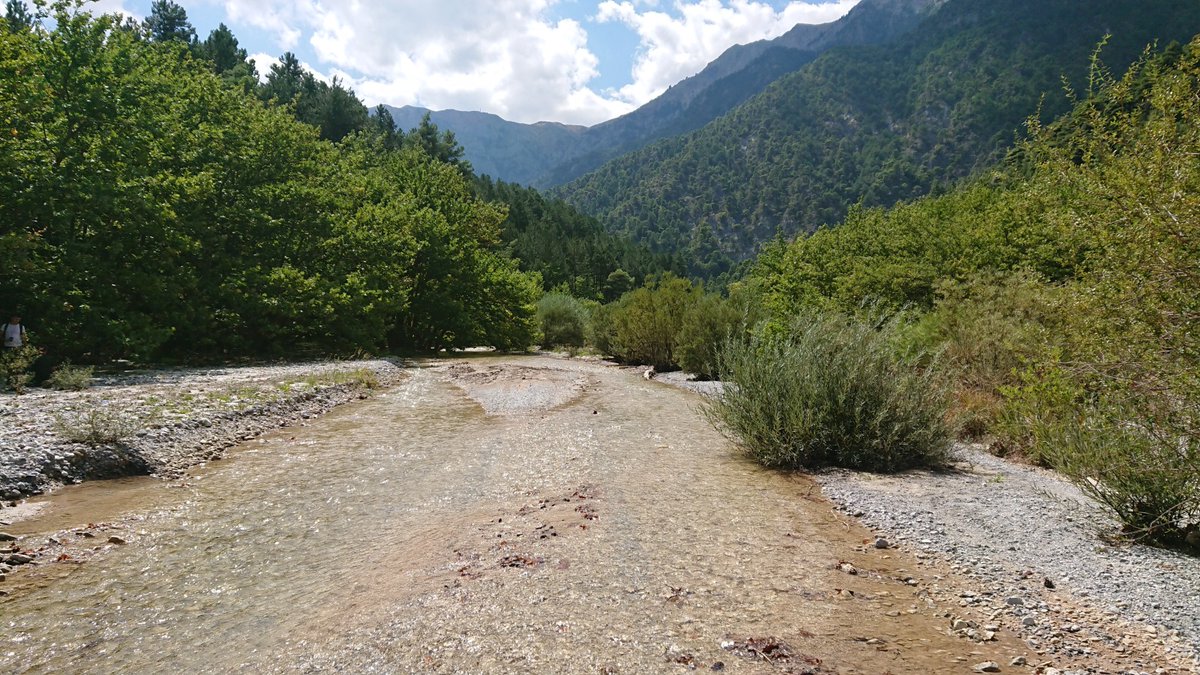 tom_galia's tweet photo. 🚨 We are hiring at @Fyz_geografieOU a PhD student for our 3-year project on floods in Mediterranean rivers!
Your role: Use remote sensing to study changes in river morphology and riparian canopy, and join exciting field trips to wild rivers in Greece! 🌍🌊
➡️ https://t.co/wS4DhJPfYQ