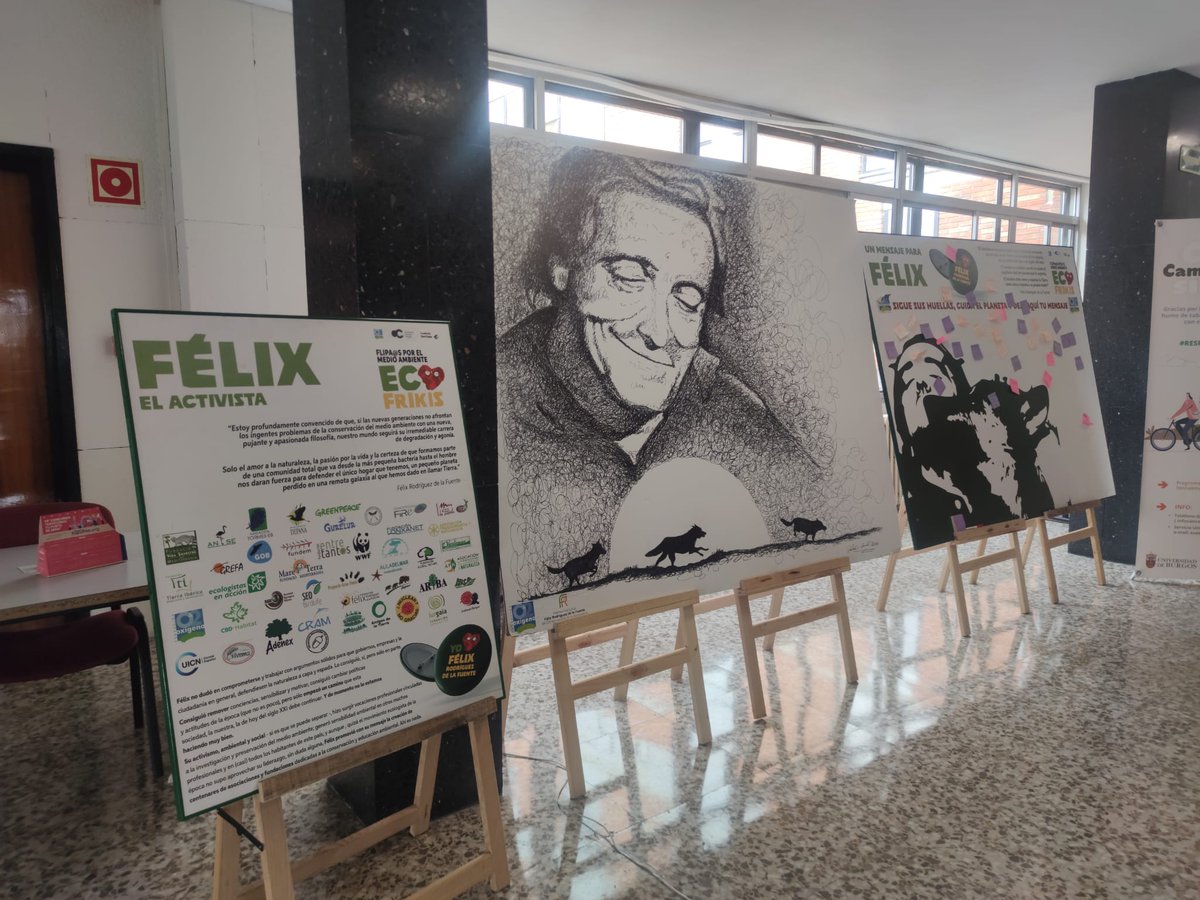 Fundación Oxígeno (@fundaciono2) on Twitter photo #Burgos
La exposición de nuestro amigo "Félix" estará disponible en la EPS del Vena de la <a href="/UBUEstudiantes/">Universidad Burgos</a> para poder conocer un poco mejor a uno de nuestros mayores representantes y defensores del medioambiente.
<a href="/UbuVerde/">UBUverde</a> <a href="/mitecogob/">Transición Ecológica y Reto Demográfico</a> <a href="/KingspanES/">Kingspan España</a> #Burgos
La exposición de nuestro amigo "Félix" estará disponible en la EPS del Vena de la <a href="/UBUEstudiantes/">Universidad Burgos</a> para poder conocer un poco mejor a uno de nuestros mayores representantes y defensores del medioambiente.
<a href="/UbuVerde/">UBUverde</a> <a href="/mitecogob/">Transición Ecológica y Reto Demográfico</a> <a href="/KingspanES/">Kingspan España</a>