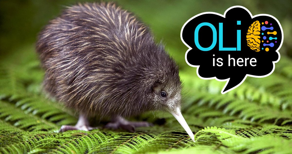 Introducing $OLI: The heart of Olympus Insights! 

🔹 Earn &amp; spend in a thriving ecosystem
🔹 Participate in decentralized governance 
🔹 Access discounted educational content &amp; merchandise 
🔹 Enjoy bonus rewards &amp; scholarships 
🔹 Support through our repurchase program

Join us