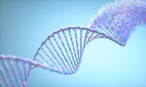 🧬De oorzaak van zeldzame ziekten wordt steeds vaker opgespoord met genoom sequencing waarbij het menselijk DNA helemaal wordt uitgelezen door het eerst in kleine stukjes - short reads - te hakken. Lees erover op onze site 👇
radboudumc.nl/nieuws/2025/lo…