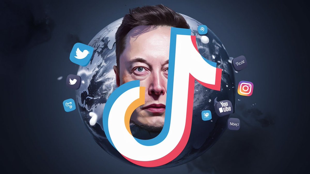 BambooFin tweet media