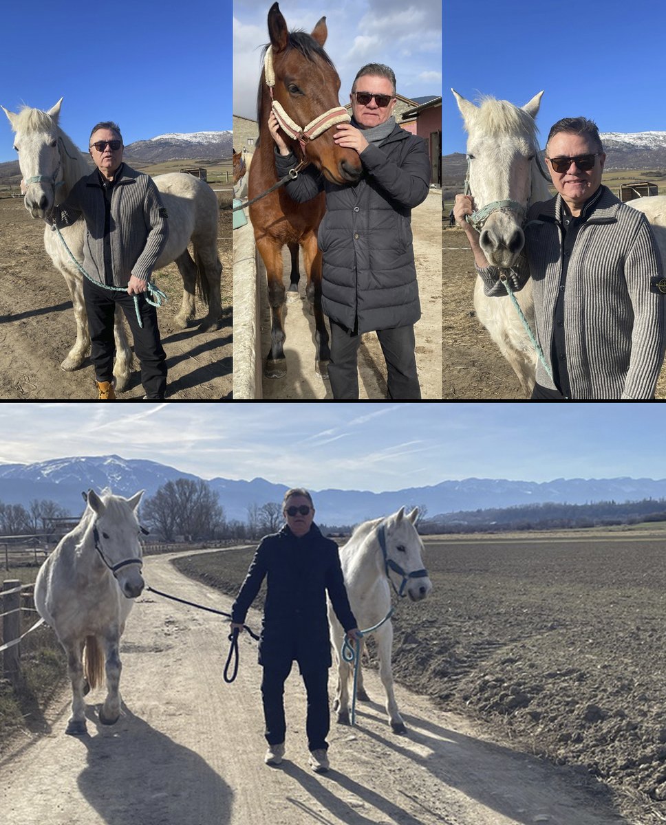 Sud de la France/Pyrénées
Tras décadas rodeado de acémilas, jumentos y burros en general soy feliz entre caballos,
y montañas nevadas. In constant evolution.
#caballos #felicidad