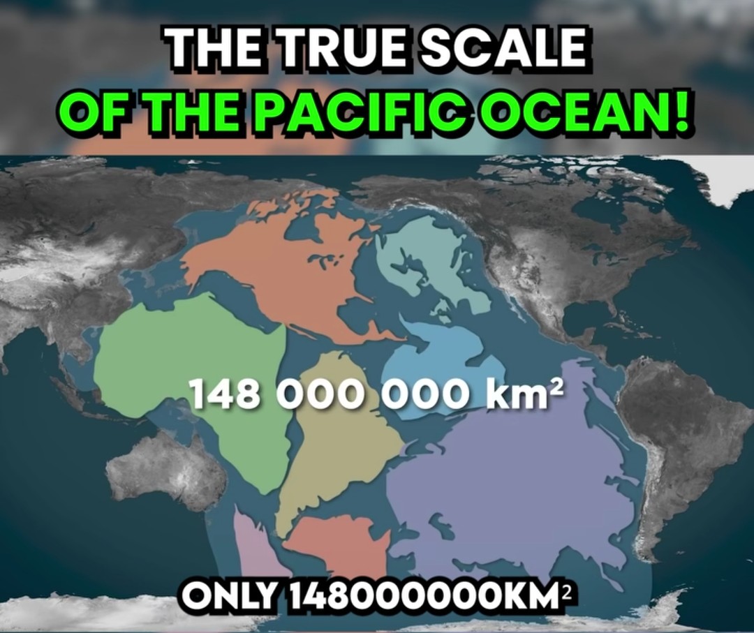 KiranKS's tweet photo. The Shanta Sagar or Pacific Ocean is so huge, that it can fit all the continents of the planet in it, and still be left with millions of sq. km. of space!
It can fit five moons side by side.
It has 25,000+ distinct islands.
It has 50% of the world's ocean water!
#RealLifeLore https://t.co/0GahguN7WS