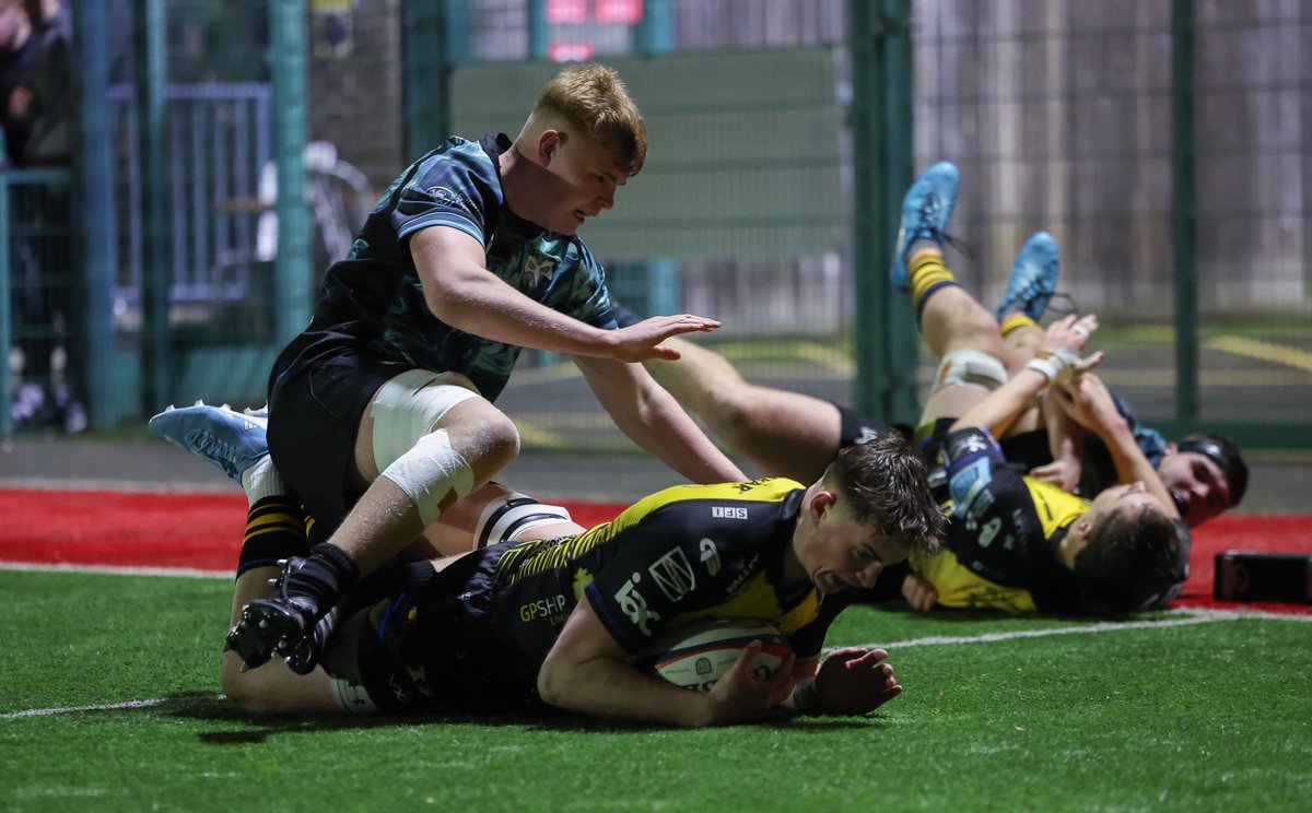 Dragons RFC 🐉 tweet media