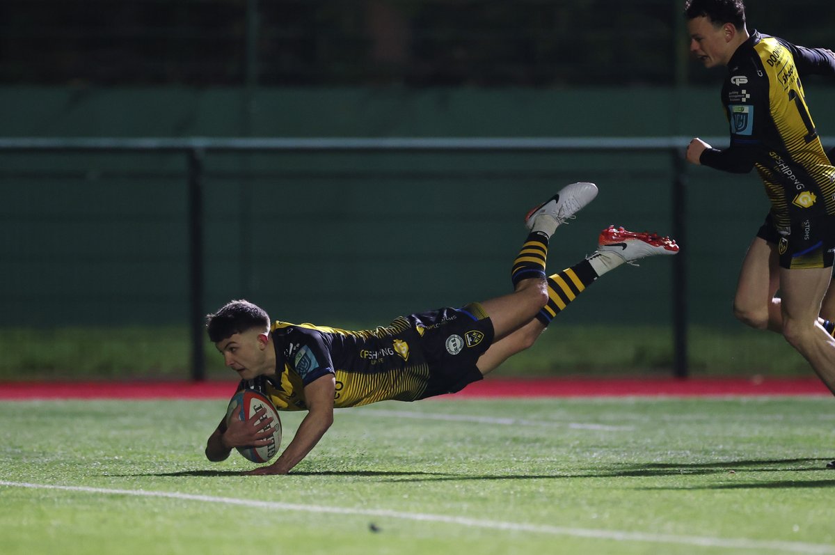 Dragons RFC 🐉 tweet media