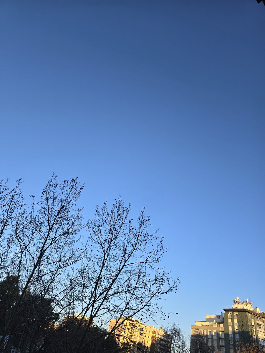 gramareus's tweet photo. Tot i tenir aquest cel amb 🌞
fa fred; 2°C ,sensació de -1°C i una humitat del 90% 💧
#reus #setmanadelsbarbuts #frío #sky #fred #ilfaitfroid
@1967fct @ecazatormentas @StormHour @SeguimlaMeteo @SomosMeteo @JRovireta @Alex_MeteoM @SoniaPapell https://t.co/0ofqfoz4IM