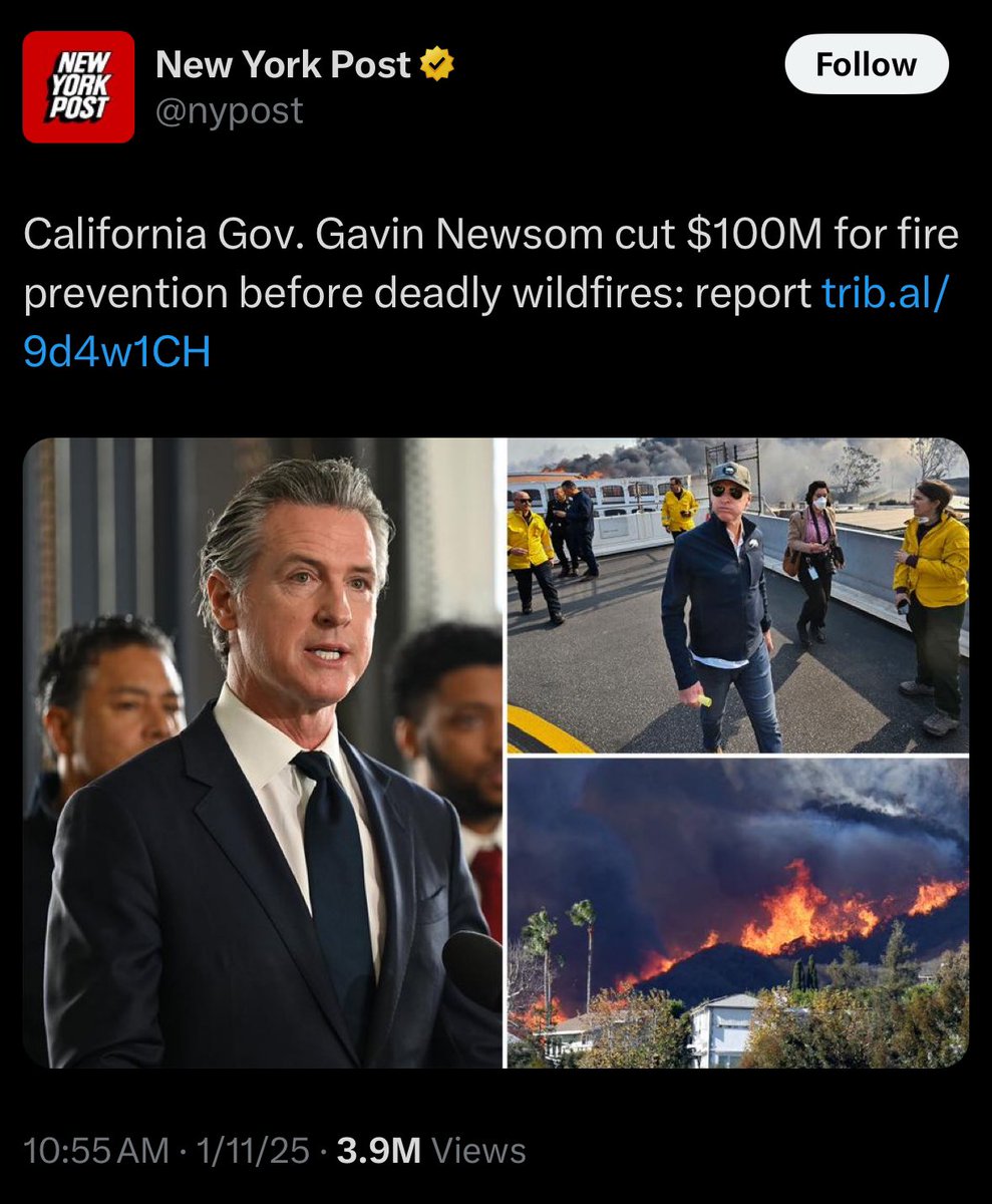 Jimmy Dore tweet media