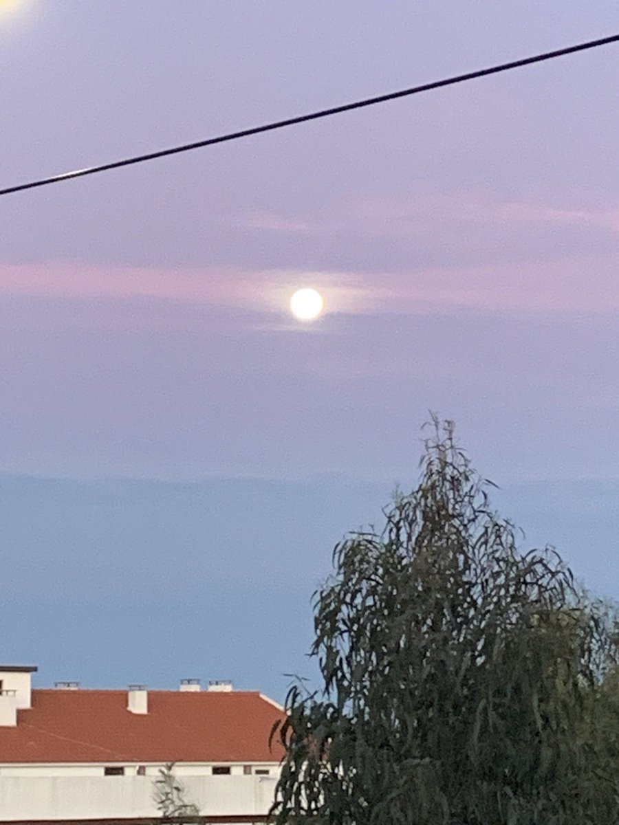 "The full moon is a mirror, reflecting back to us our own light and shadows. It's a powerful time for self-awareness and for choosing who you want to be."

Morning moon 🇵🇹