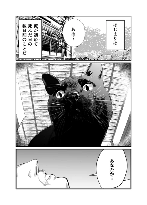九つの命を持つ黒猫が飼い主のいる天国を目指す話。(1/14) 